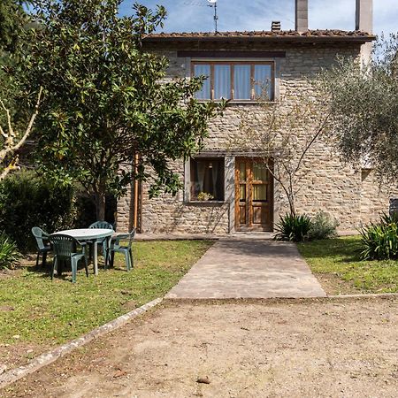 Agriturismo Il Ponte - Frantoio Vicchio Eksteriør bilde