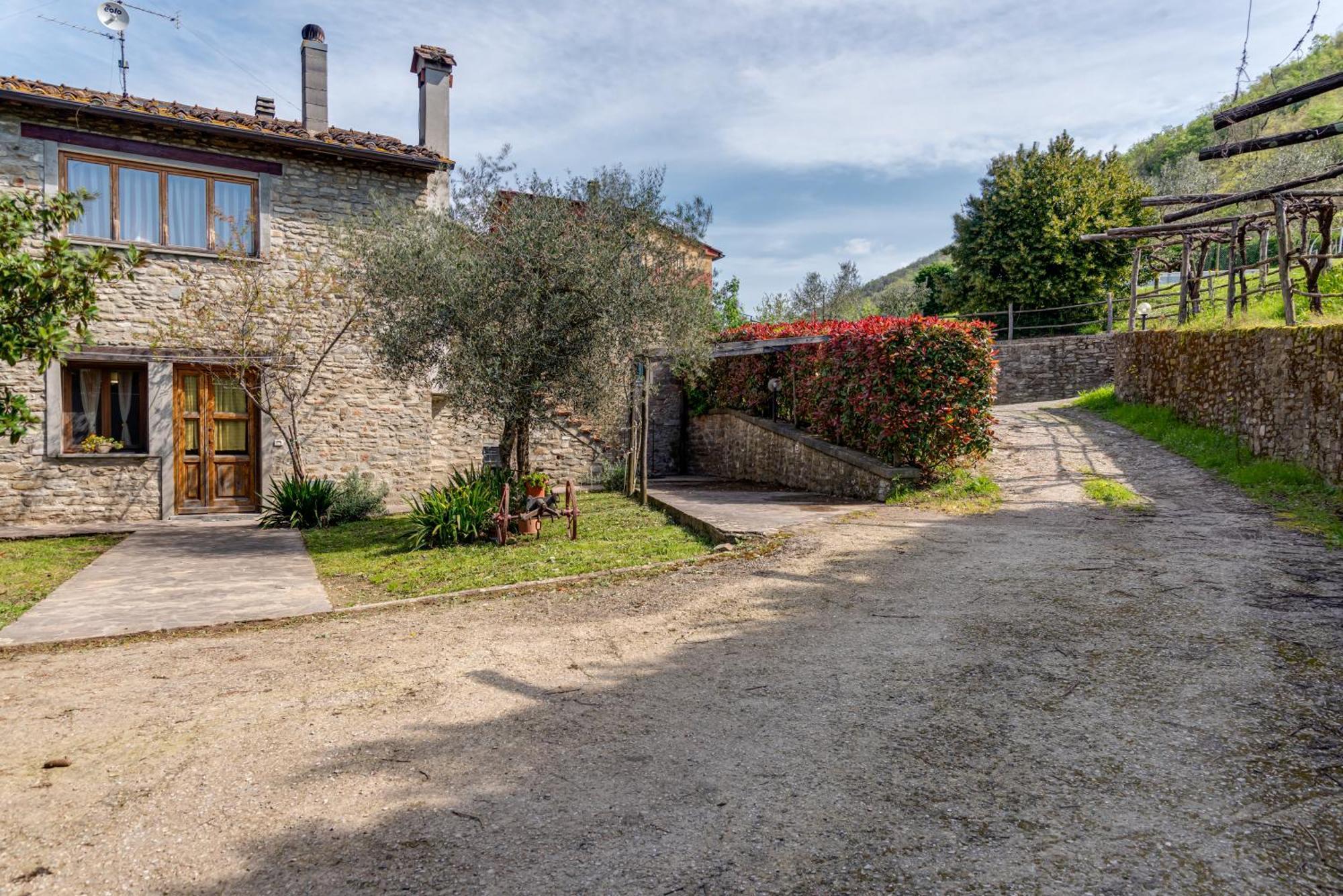 Agriturismo Il Ponte - Frantoio Vicchio Eksteriør bilde